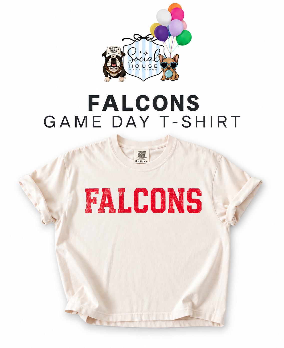 Falcons - Game Day T-Shirt