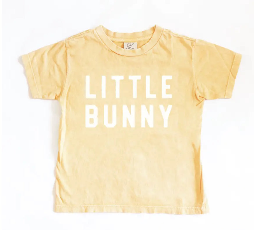 PRESALE! Little Bunny Crewneck T-Shirt - Toddler Sizes